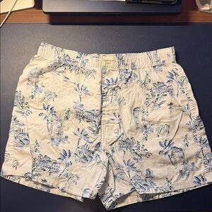 Blue White and Green Men’s Boxer Shorrs